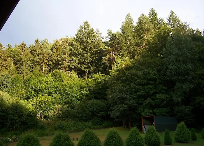 Ferienwohnung Am Pfaffenfels