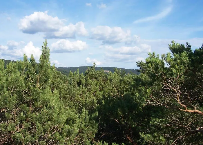 Ferienwohnung Am Pfaffenfels